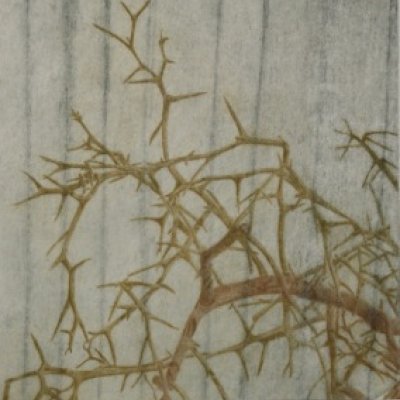 Prekäres Gleichgewicht XIII