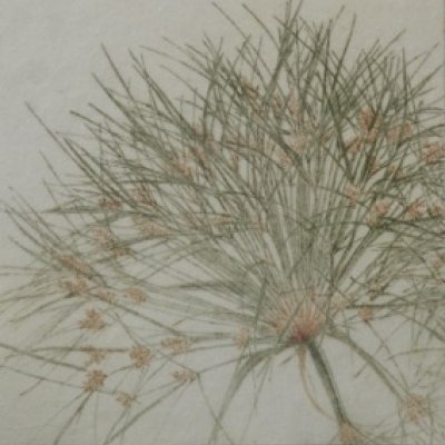 Prekäres Gleichgewicht XIV