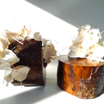 Vertical and Horizontal