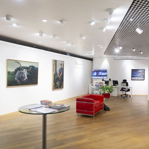 Meine Reise durch Istrien