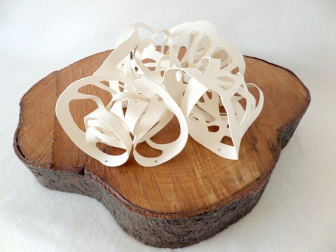 Muschel | Schneckenhaus