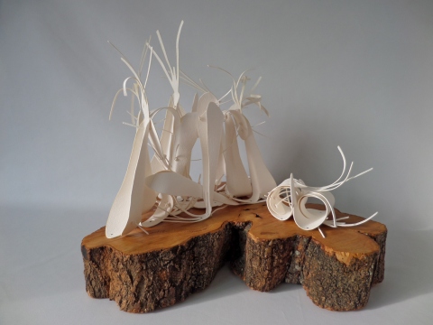 ungekämmt | zuzausst