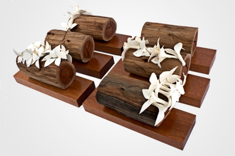 Der Weg der Insekten