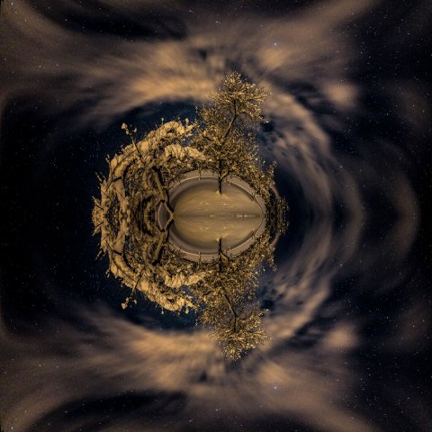 Das Universum und der Baum