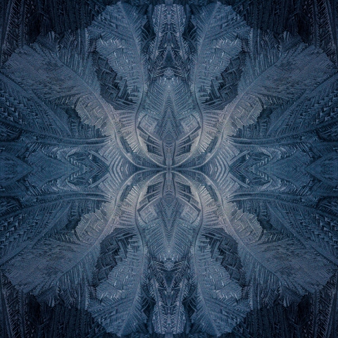 Eisblumen #20180228134029