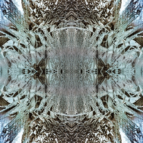 Frontscheibeneisblumen