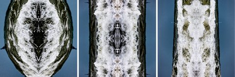 Gulf of Oman Triptychon