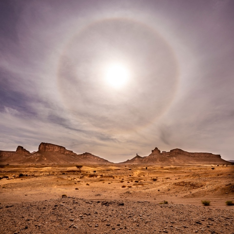 Korona in der Westsahara