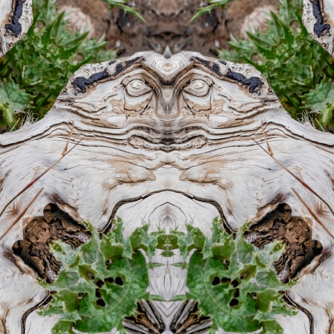 Vathy Gkreki #140218