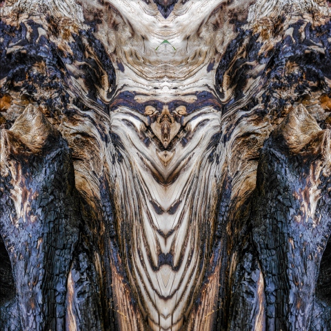 Vathy Gkreki #140236