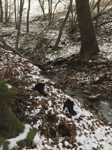 Padé püree -  Bild 1