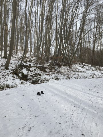 Padé püree -  Bild 2