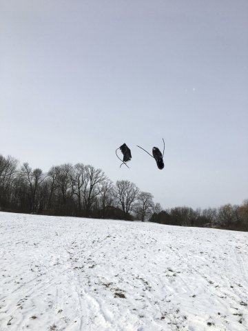 Padé püree -  Bild 4