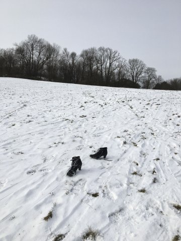 Padé püree -  Bild 5