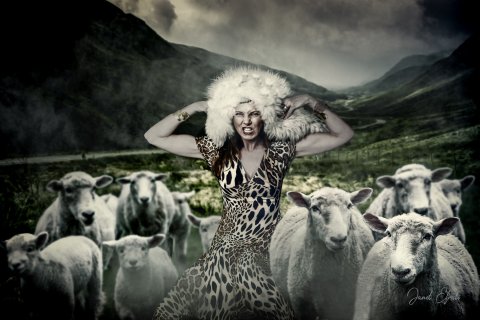 A wolf in sheep's clothing