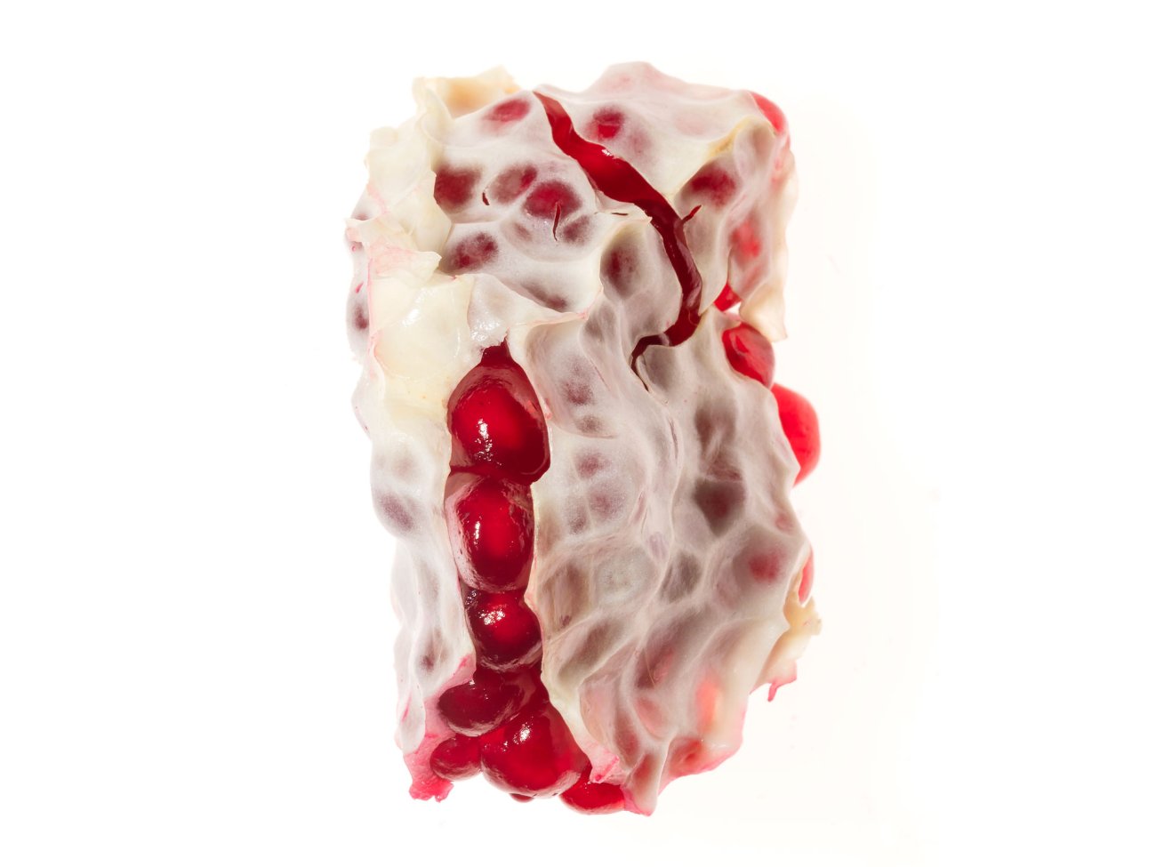 Samenbank XX | Bild No.: X10 | Archiv 13006