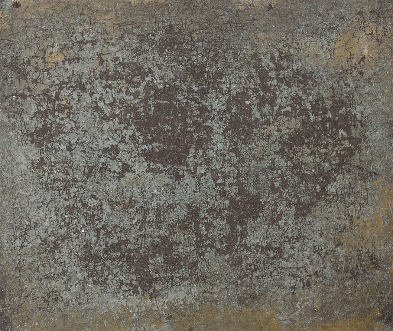 SSS#12 | serpent shed skin | unverkäuflich