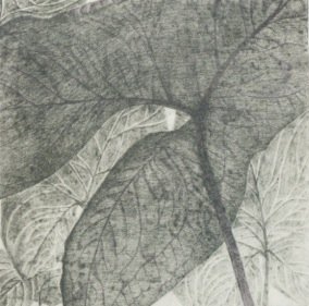 Prekäres Gleichgewicht V