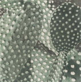 Prekäres Gleichgewicht XI