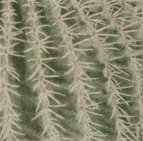 Prekäres Gleichgewicht XII