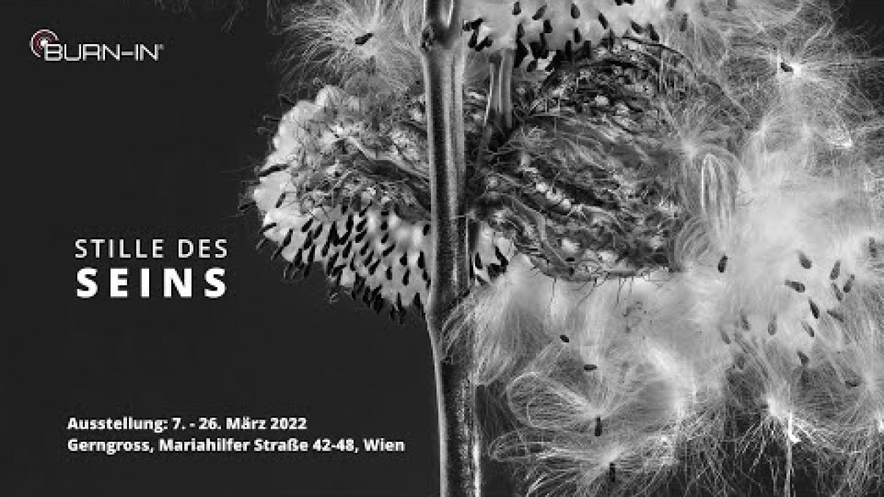 STILLE DES SEINS Ankündigung Cover Image