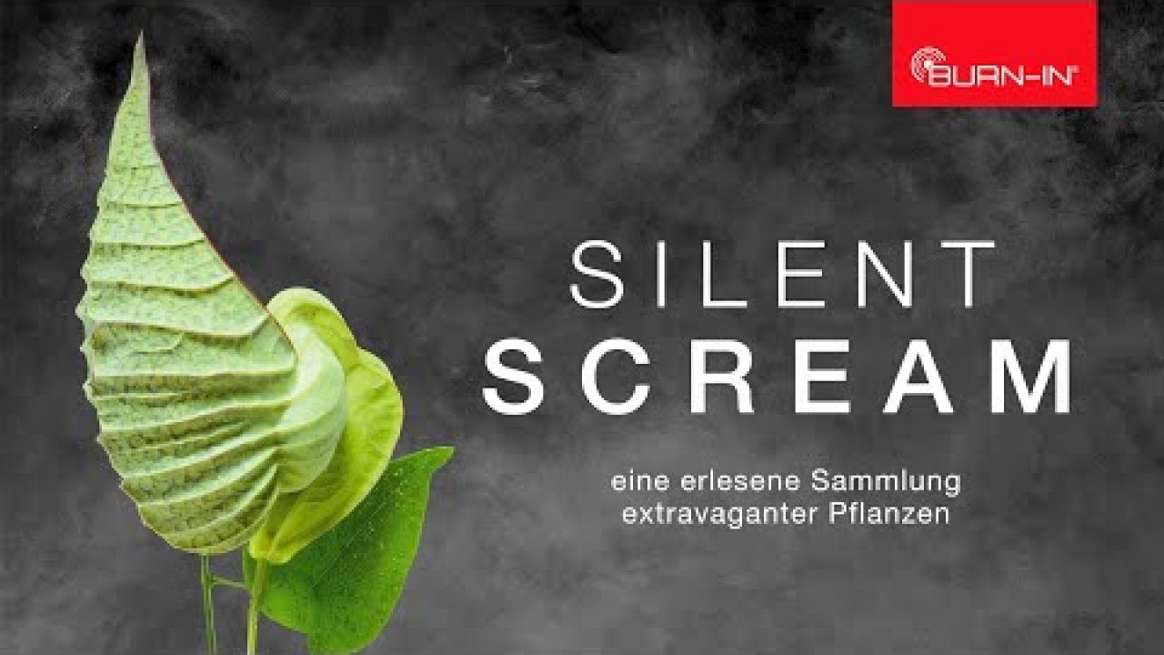 BURNIN Silentscream Tour Cover Image