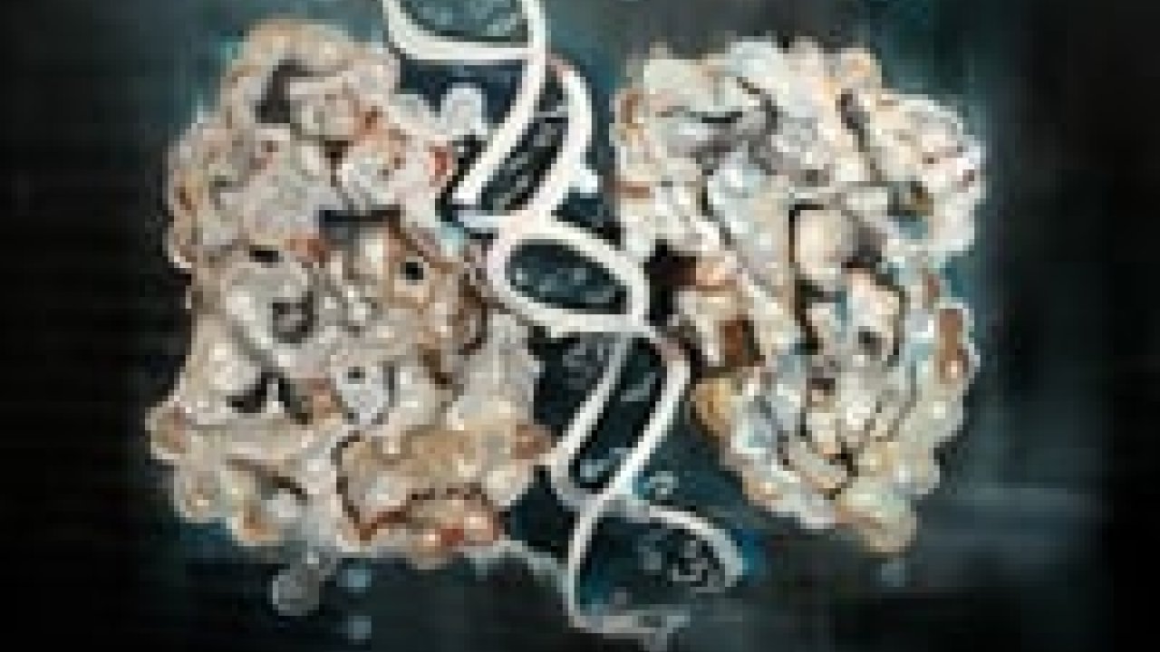 BURN-IN Ausstellung Zwischen Zellen und Zeiten Cover Image