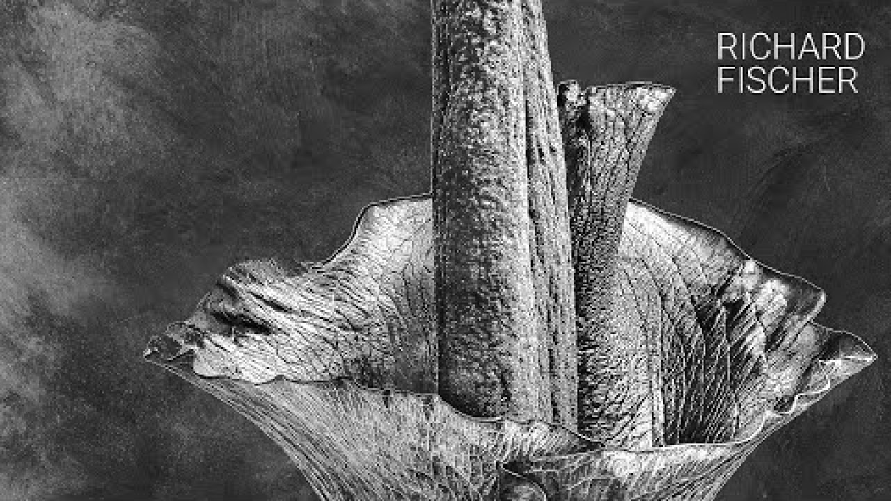 Beyond Black & White - Richard Fischer  - ART Feature Cover Image