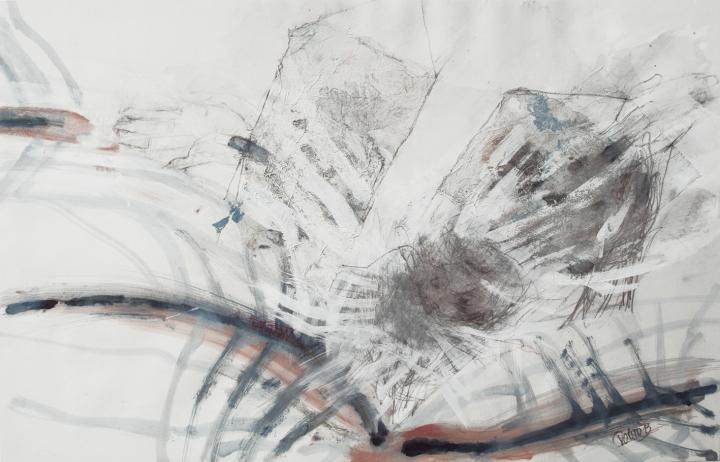 un señor muy viejo con unas alas enormes  1