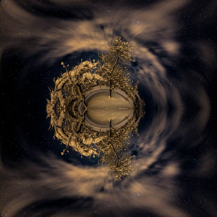 Das Universum und der Baum