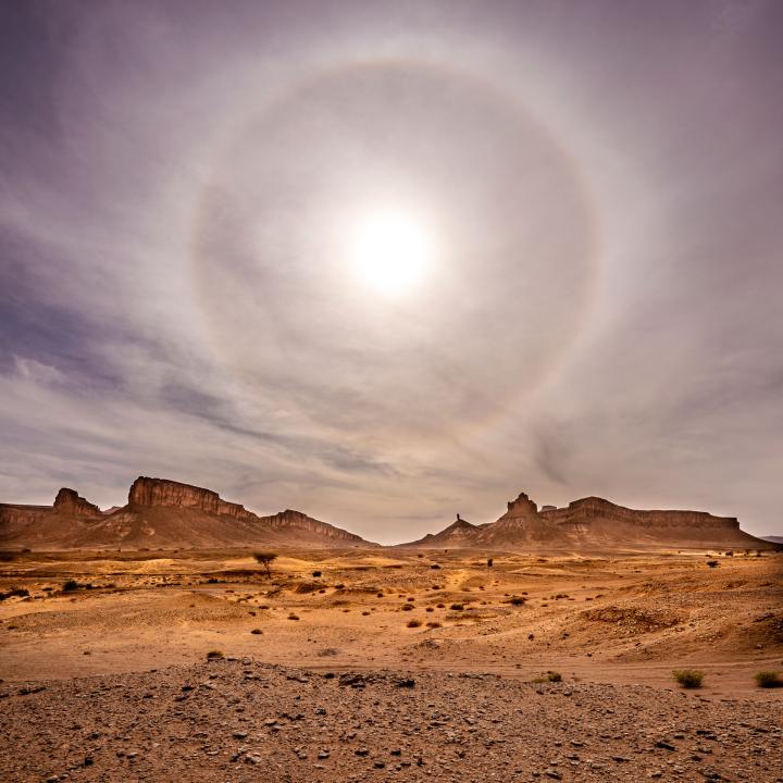 Korona in der Westsahara