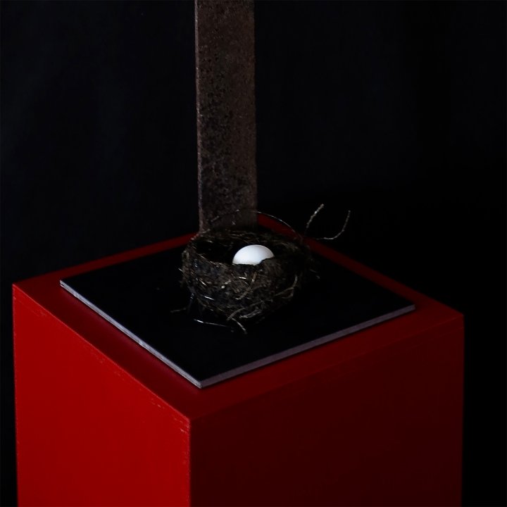 Diskurs mit Hermann Nitsch - AB OVO