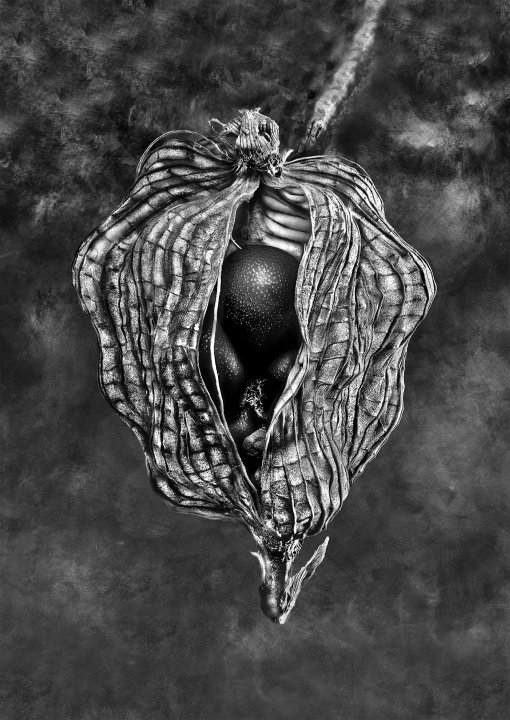 Negrepelisser Collections 06 04 B