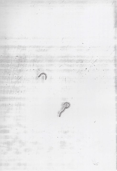 Post-Suprematistische Datenblatt 21