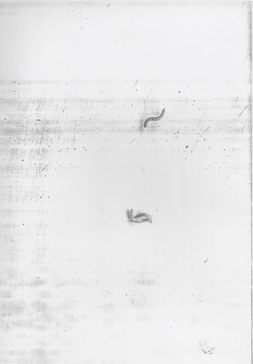 Post-Suprematistische Datenblatt 21