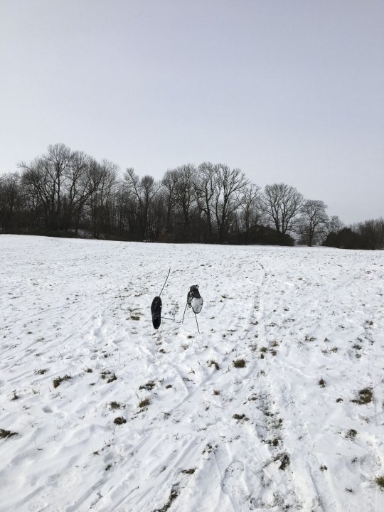 Padé püree -  Bild 6