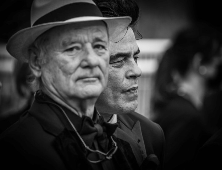 Bill Murray & Benicio del Toro