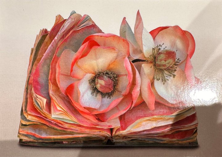 Kartensammlungen rot