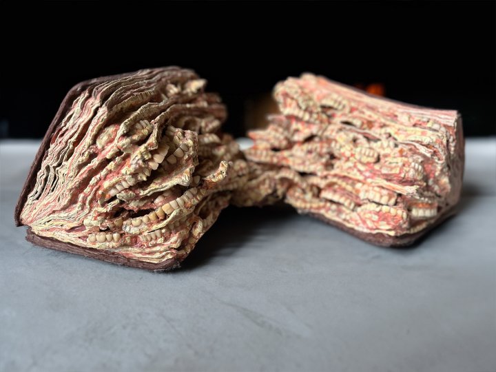 Verbissene Discussion