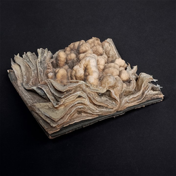 Vergangenes Ereignis