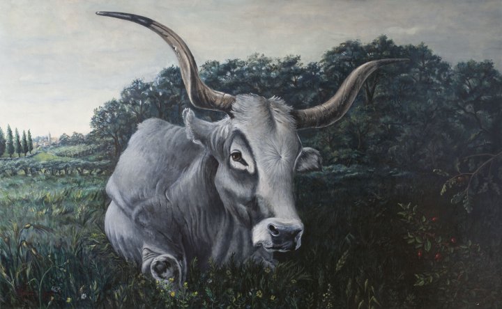 Boškarin und Baraboškula