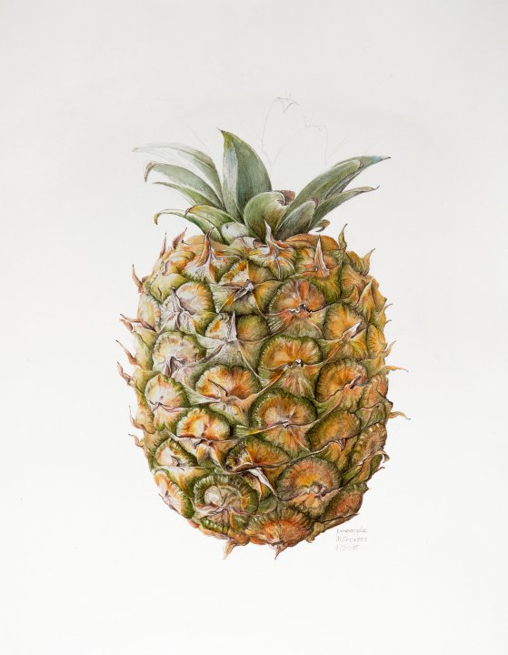 Ananas