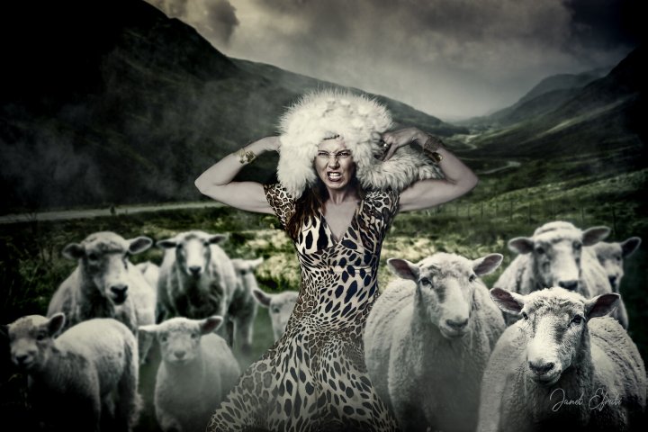 A wolf in sheep's clothing