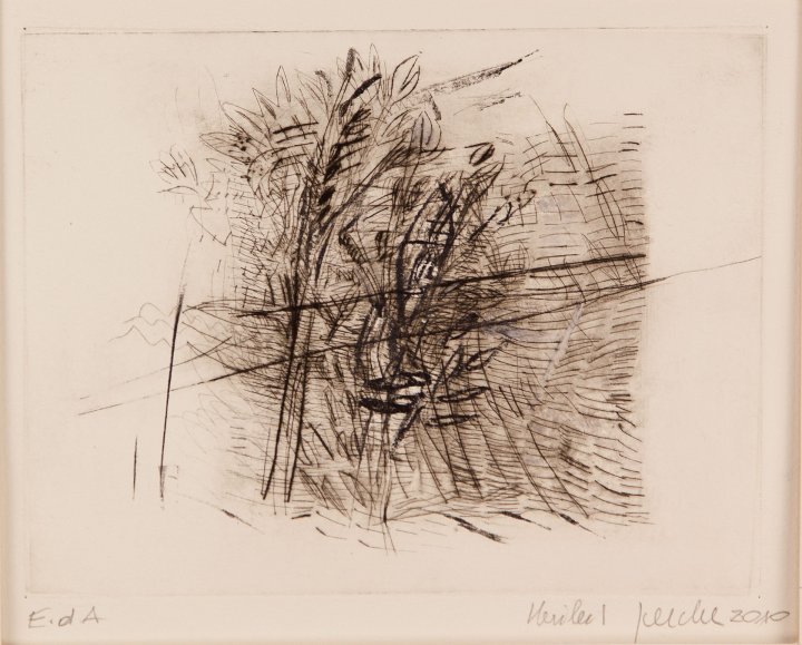 Überschwemmung | Wasserspiegelung