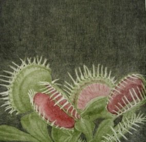 Prekäres Gleichgewicht I