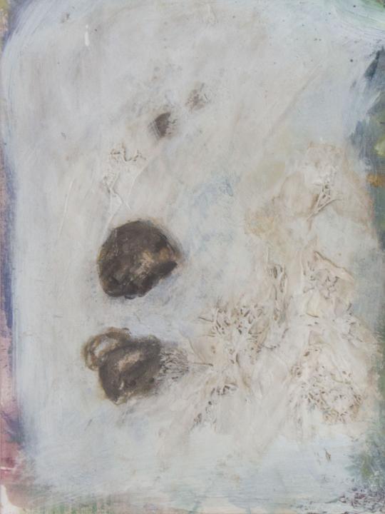 Früchte der Natur // Nuss