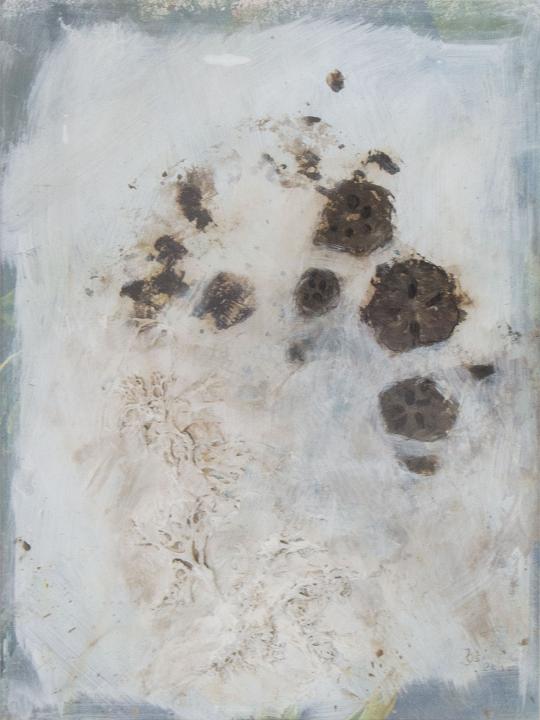 Früchte der Natur // Eukalyptus