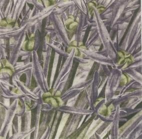 Prekäres Gleichgewicht IV