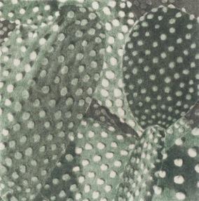 Prekäres Gleichgewicht XI