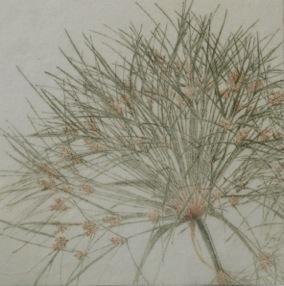 Prekäres Gleichgewicht XIV